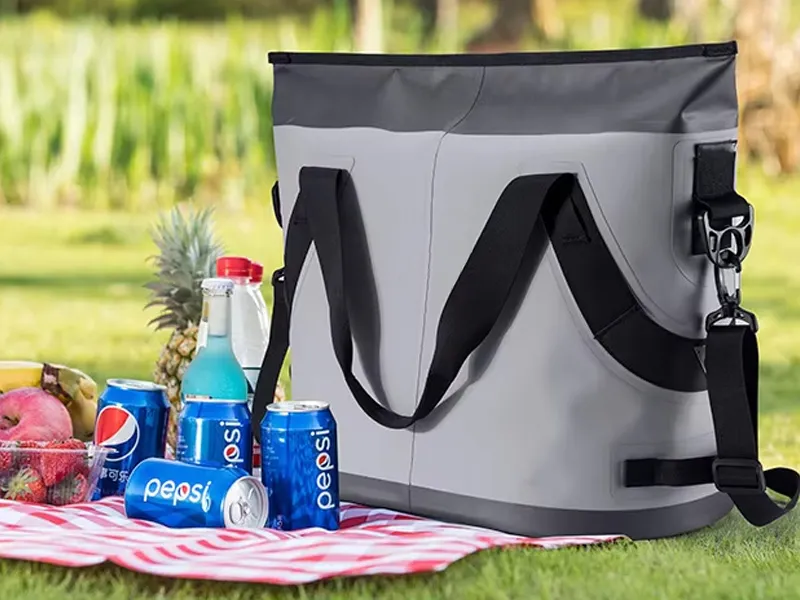 Rollen av ispåsar på camping